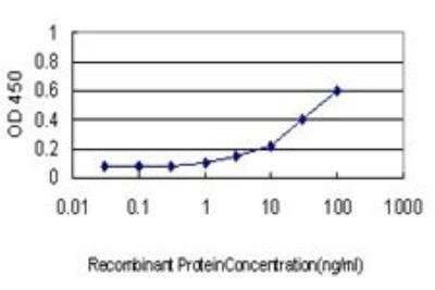 ELISA: Kallikrein 10 Antibody (1G8) [H00005655-M01]