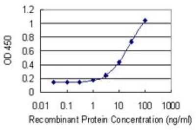 ELISA: Kallikrein 2 Antibody (3C5) [H00003817-M03]