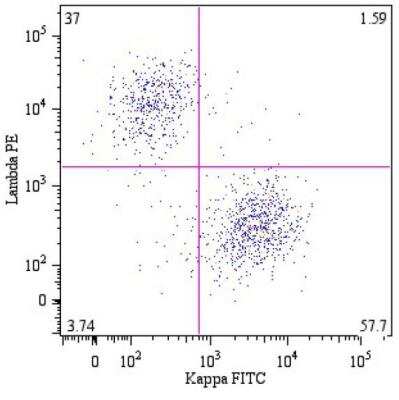 Flow Cytometry: Kappa Light Chain Antibody (A8B5) - BSA Free [NBP1-45067]