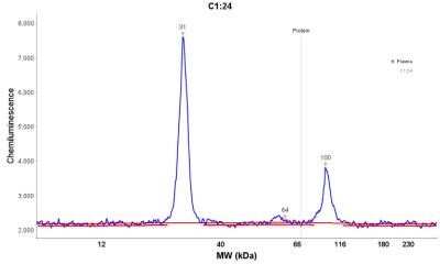 Simple Western: Kappa Light Chain Antibody (KLC709)Azide and BSA Free [NBP2-34660]