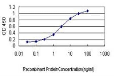 ELISA: Karyopherin (importin) beta 3 Antibody (1C4) [H00003843-M01]
