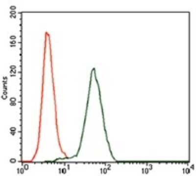 Flow Cytometry: Keap1 Antibody (7G4B10) - BSA Free [NBP2-37431]