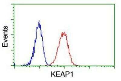 Flow Cytometry: Keap1 Antibody (OTI1B4) - Azide and BSA Free [NBP2-71496]