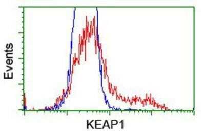 Flow Cytometry: Keap1 Antibody (OTI1B4) [NBP2-03319]
