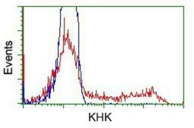 Flow Cytometry: Ketohexokinase Antibody (OTI1D8) - Azide and BSA Free [NBP2-71069]