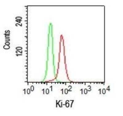 Flow Cytometry: Ki67/MKI67 Antibody [NBP2-19012]