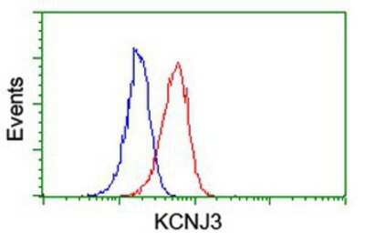 Flow Cytometry: Kir3.1 Antibody (OTI1G3) [NBP2-01702]