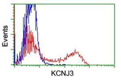 Flow Cytometry: Kir3.1 Antibody (OTI1G3) [NBP2-01702]
