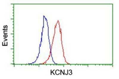 Flow Cytometry: Kir3.1 Antibody (OTI1G3) - Azide and BSA Free [NBP2-71065]