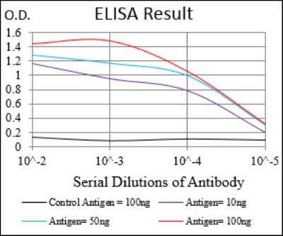 ELISA: Ku70/XRCC6 Antibody (7A9E7) - BSA Free [NBP2-52590]
