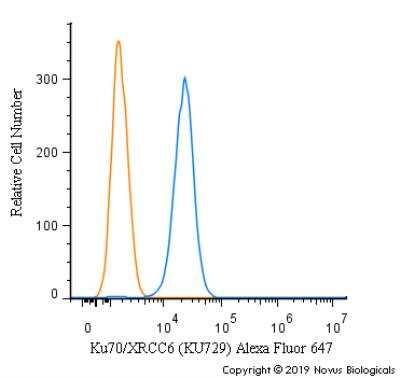 Flow (Intracellular): Ku70/XRCC6 Antibody (KU729) - Azide and BSA Free [NBP2-34663]