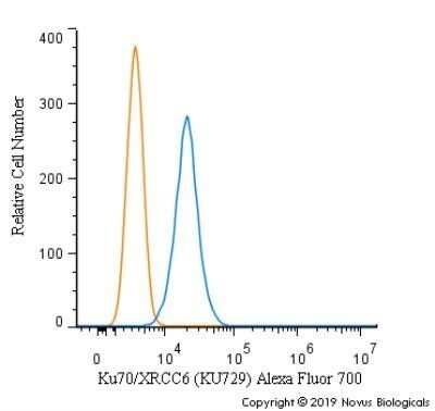 Flow (Intracellular): Ku70/XRCC6 Antibody (KU729) - Azide and BSA Free [NBP2-34663]