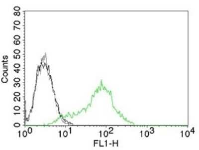 Flow Cytometry: Ku70/XRCC6 Antibody (KU729) [NBP2-34247]