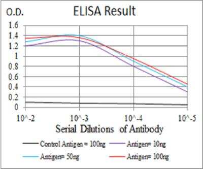 ELISA: Kv4.2 Antibody (5B11B9) - BSA Free [NBP2-52497]