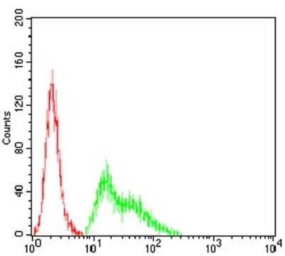 Flow Cytometry: Kv4.2 Antibody (5B11B9) - BSA Free [NBP2-52497]
