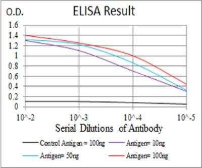 ELISA: Kv4.2 Antibody (7G6A10) - BSA Free [NBP2-52498]