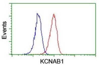 Flow Cytometry: KvBeta1 Antibody (OTI7F12) [NBP2-45767]
