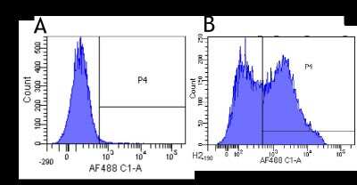 Flow Cytometry: L-Selectin/CD62L Antibody (DREG-56) - Chimeric - Azide and BSA Free [NBP2-81084]