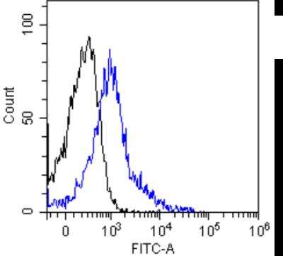 Flow Cytometry: L-Selectin/CD62L Antibody (MEL-14) - Chimeric - Azide and BSA Free [NBP2-81083]