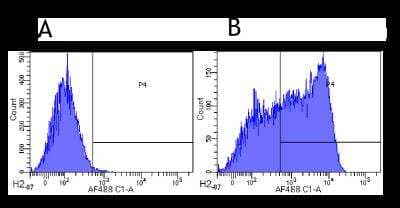 Flow Cytometry: L-Selectin/CD62L Antibody (MEL-14) - Chimeric - Azide and BSA Free [NBP2-81083]