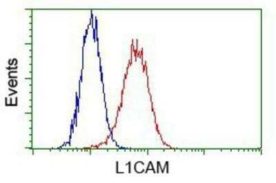 Flow Cytometry: L1CAM Antibody (OTI2A6) - Azide and BSA Free [NBP2-71097]