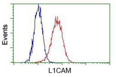 Flow Cytometry: L1CAM Antibody (OTI2A6) [NBP2-02149]