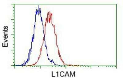 Flow Cytometry: L1CAM Antibody (OTI2A6) [NBP2-02149]