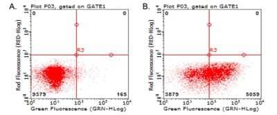 Flow Cytometry: LAG-3 Antibody (OTI8F6) [NBP2-45581]