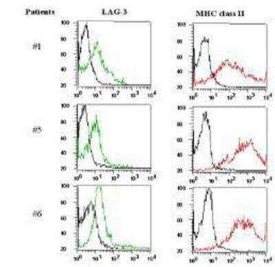 Flow Cytometry: LAG-3 Antibody Pack [NBP3-11743]