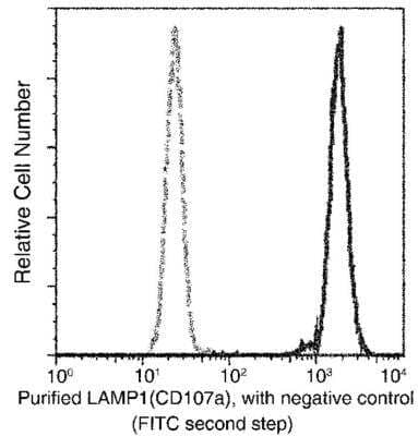 Flow Cytometry: LAMP-1/CD107a Antibody (107) [NBP2-89844]
