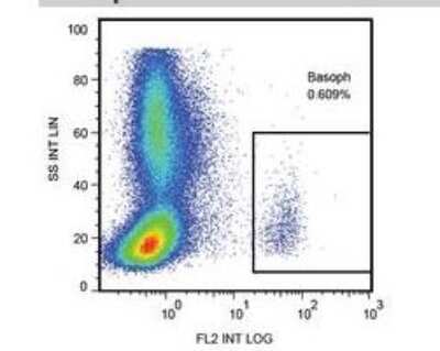 Flow Cytometry: LAMP-1/CD107a Antibody (H4A3) - Azide and BSA Free [NBP2-25183]