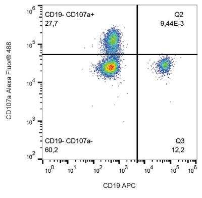 Flow Cytometry: LAMP-1/CD107a Antibody (H4A3) - Azide and BSA Free [NBP2-25183]