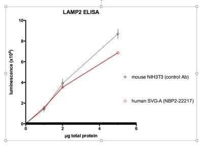 ELISA: LAMP-2/CD107b Antibody (H4B4) - Azide and BSA Free [NBP2-80825]