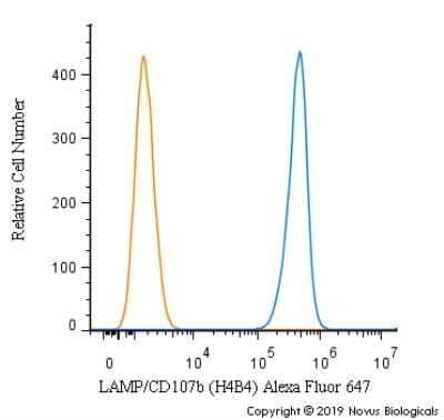 Flow Cytometry: LAMP-2/CD107b Antibody (H4B4) - Azide and BSA Free [NBP2-80825]