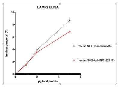 ELISA: LAMP-2/CD107b Antibody (H4B4) - BSA Free [NBP2-22217]