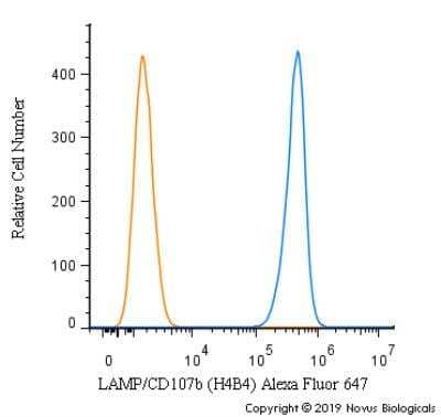 Flow Cytometry: LAMP-2/CD107b Antibody (H4B4) - BSA Free [NBP2-22217]