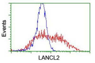 Flow Cytometry: LANCL2 Antibody (OTI2A11) [NBP2-03893]