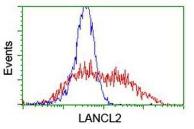 Flow Cytometry: LANCL2 Antibody (OTI2A11) - Azide and BSA Free [NBP2-72053]