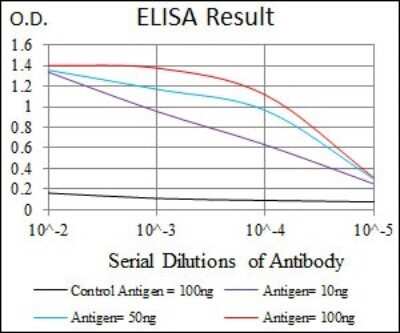 ELISA: LAP (TGF-beta 1) Antibody (7F6) - Azide and BSA Free [NBP2-80827]