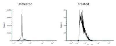 Flow Cytometry: LC3B Antibody (1251A) - Azide and BSA Free [NBP2-80829]