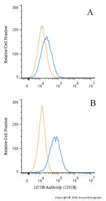 Flow (Intracellular): LC3B Antibody (1251B) - BSA Free [NBP2-60735]