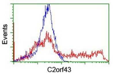 Flow Cytometry: LDAH Antibody (OTI2G9) - Azide and BSA Free [NBP2-72122]