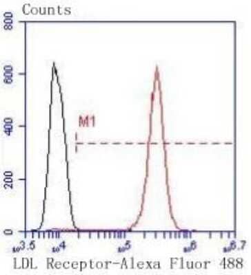Flow Cytometry: LDLR Antibody (SJ0197) [NBP2-67414]