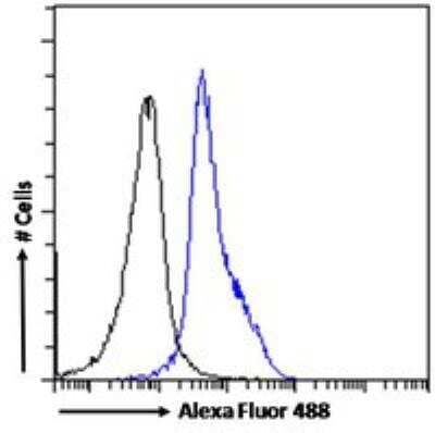 Flow Cytometry: LEF1 Antibody [NB100-41374]