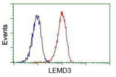 Flow Cytometry: LEMD3 Antibody (OTI6C10) [NBP2-02211]