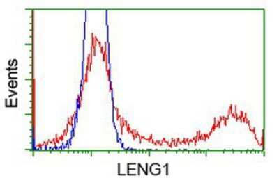 Flow Cytometry: LENG1 Antibody (OTI10A7) [NBP2-00915]