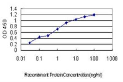 ELISA: LETM1 Antibody (6F7) [H00003954-M03]