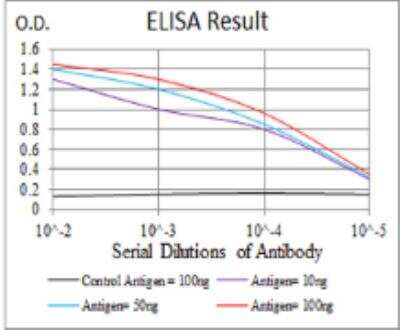 ELISA: LHR Antibody (8G9A2) - BSA Free [NBP2-52504]