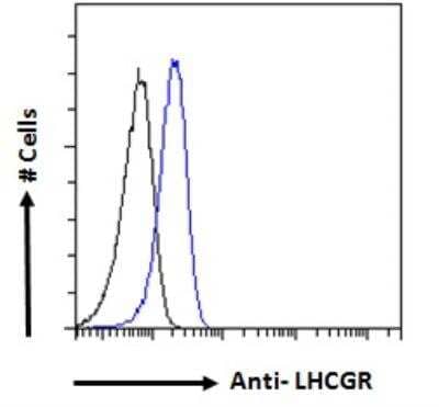 Flow Cytometry: LHR Antibody [NBP2-76804]