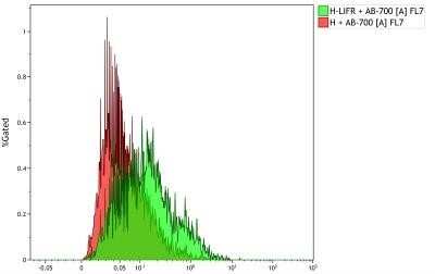 Flow Cytometry: LIFR alpha Antibody (MM0455-9B23) - Azide and BSA Free [NBP2-11774]